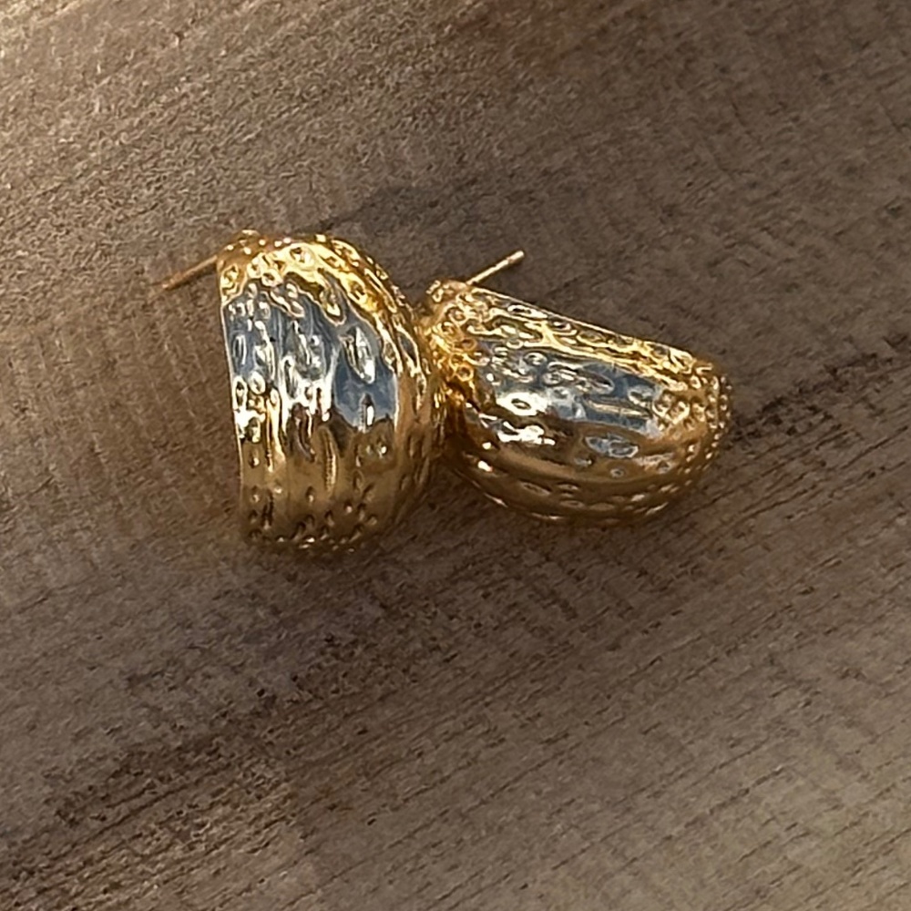 Erah Gold Plated Earrings